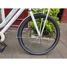 Cortina CURUNC wit 57cm 2020 (F.1266)