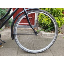 Limit No Fuse zwart 53cm 2020 (F.1264)