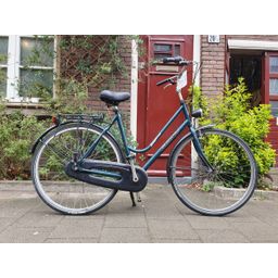 Giant custom Groen 57cm 2020 (F.1272)