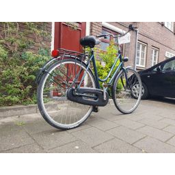 Giant custom Groen 57cm 2020 (F.1272)