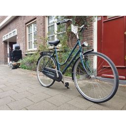 Giant custom Groen 57cm 2020 (F.1272)
