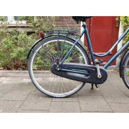 Giant custom Groen 57cm 2020 (F.1272)