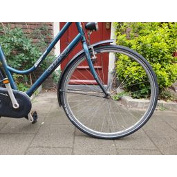 Giant custom Groen 57cm 2020 (F.1272)