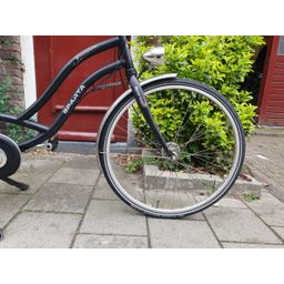 Sparta amazon zwart 50cm 2020 (F.1312)