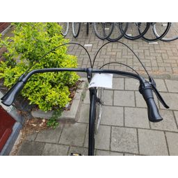 Sparta amazon zwart 50cm 2020 (F.1312)