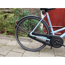 Cumberland edge blauw 53cm 2020 (F.1324)