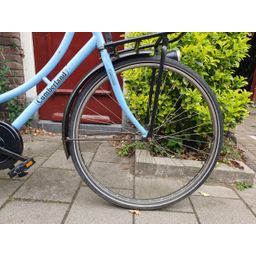 Cumberland edge blauw 53cm 2020 (F.1324)