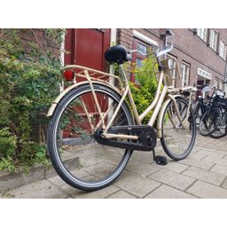 Crown holland goud 53cm 2020 (F.1308)