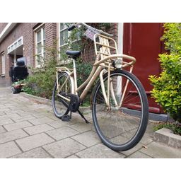Crown holland goud 53cm 2020 (F.1308)