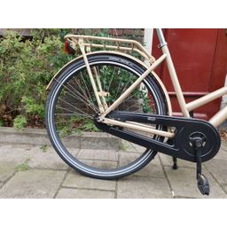 Crown holland goud 53cm 2020 (F.1308)