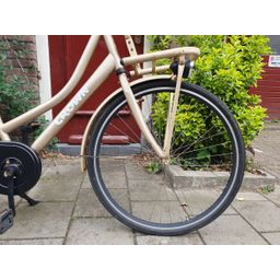 Crown holland goud 53cm 2020 (F.1308)