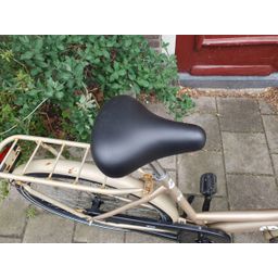 Crown holland goud 53cm 2020 (F.1308)