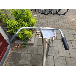 Crown holland goud 53cm 2020 (F.1308)