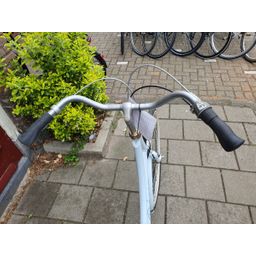 Batavus Diva wit 57cm 2020 (F.1320)