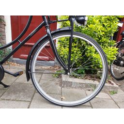Limit No fuss zwart 53cm 2020 (F.1318)