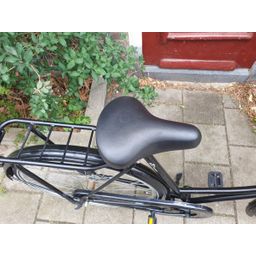 Limit No fuss zwart 53cm 2020 (F.1318)