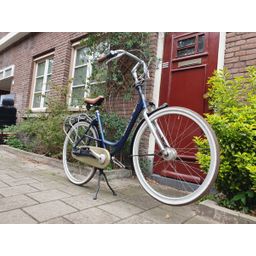 Gazelle Bloom blauw 53cm 2020 (F.1304)