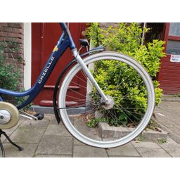 Gazelle Bloom blauw 53cm 2020 (F.1304)
