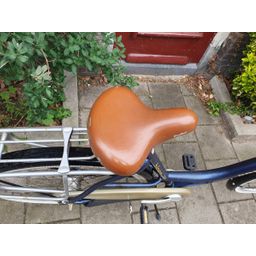 Gazelle Bloom blauw 53cm 2020 (F.1304)