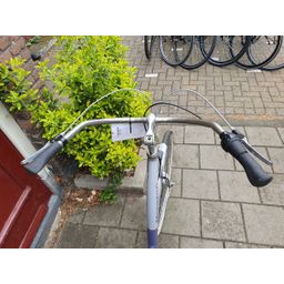Montego libirty paars 57cm 2020 (F.1306)