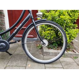 Cortina u1 zwart 52cm 2020 (F.1302)