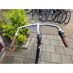 Gazelle Bloom blauw 53cm 2020 (F.1304)
