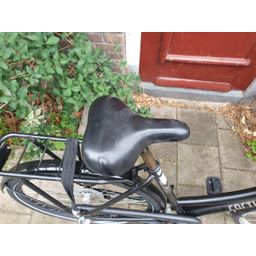 Cortina u1 zwart 52cm 2020 (F.1302)