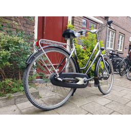Sparta Apollo zwart 53cm 2020 (F.1296)