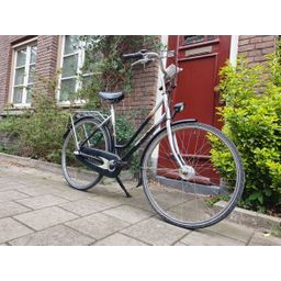 Sparta Apollo zwart 53cm 2020 (F.1296)