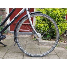 Sparta Apollo zwart 53cm 2020 (F.1296)