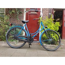 Pointer Gloria blauw 57cm 2020 (F.1250)