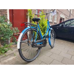 Pointer Gloria blauw 57cm 2020 (F.1250)