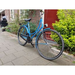 Pointer Gloria blauw 57cm 2020 (F.1250)