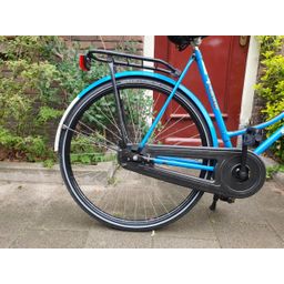 Pointer Gloria blauw 57cm 2020 (F.1250)