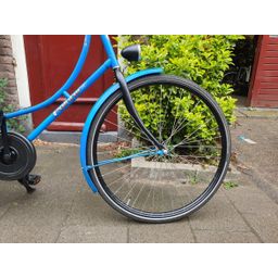 Pointer Gloria blauw 57cm 2020 (F.1250)