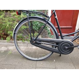 Aldo omafiets zwart 57cm 2020 (F.1246)