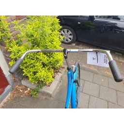 Pointer Gloria blauw 57cm 2020 (F.1250)