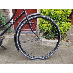 Aldo omafiets zwart 57cm 2020 (F.1246)