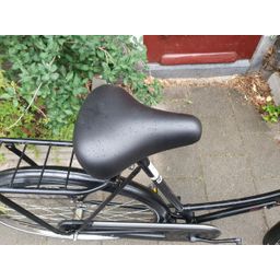 Aldo omafiets zwart 57cm 2020 (F.1246)