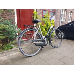 Gazelle grenado Grijs 53cm 2020 (F.1254)