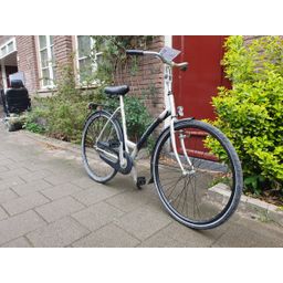 Gazelle grenado Grijs 53cm 2020 (F.1254)