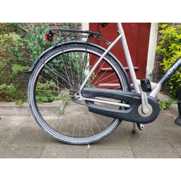 Gazelle grenado Grijs 53cm 2020 (F.1254)
