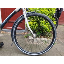 Gazelle grenado Grijs 53cm 2020 (F.1254)