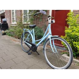 Pelikaan Dutch blauw 56cm 2020 (F.1252)