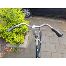 Gazelle grenado Grijs 53cm 2020 (F.1254)
