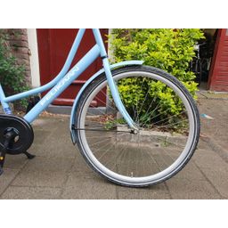 Pelikaan Dutch blauw 56cm 2020 (F.1252)