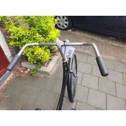 Aldo omafiets zwart 57cm 2020 (F.1246)