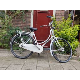 Gazelle Classic wit 51cm 2020 (F.1298)