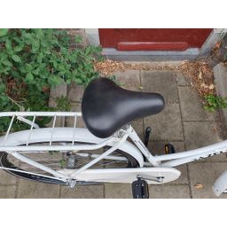 Gazelle Classic wit 51cm 2020 (F.1298)