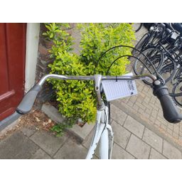 Gazelle Classic wit 51cm 2020 (F.1298)